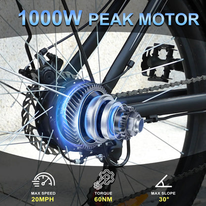 1000W Peak 48V Electric-Bike with Removable Battery