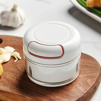 Small Garlic Grinder Manual Multi-function Garlic Chopper Crusher Press Food Vegetables