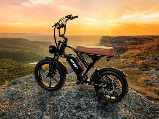 Adults Electric 1000W Motor Bicycle 48V 20AH 20“ Tire