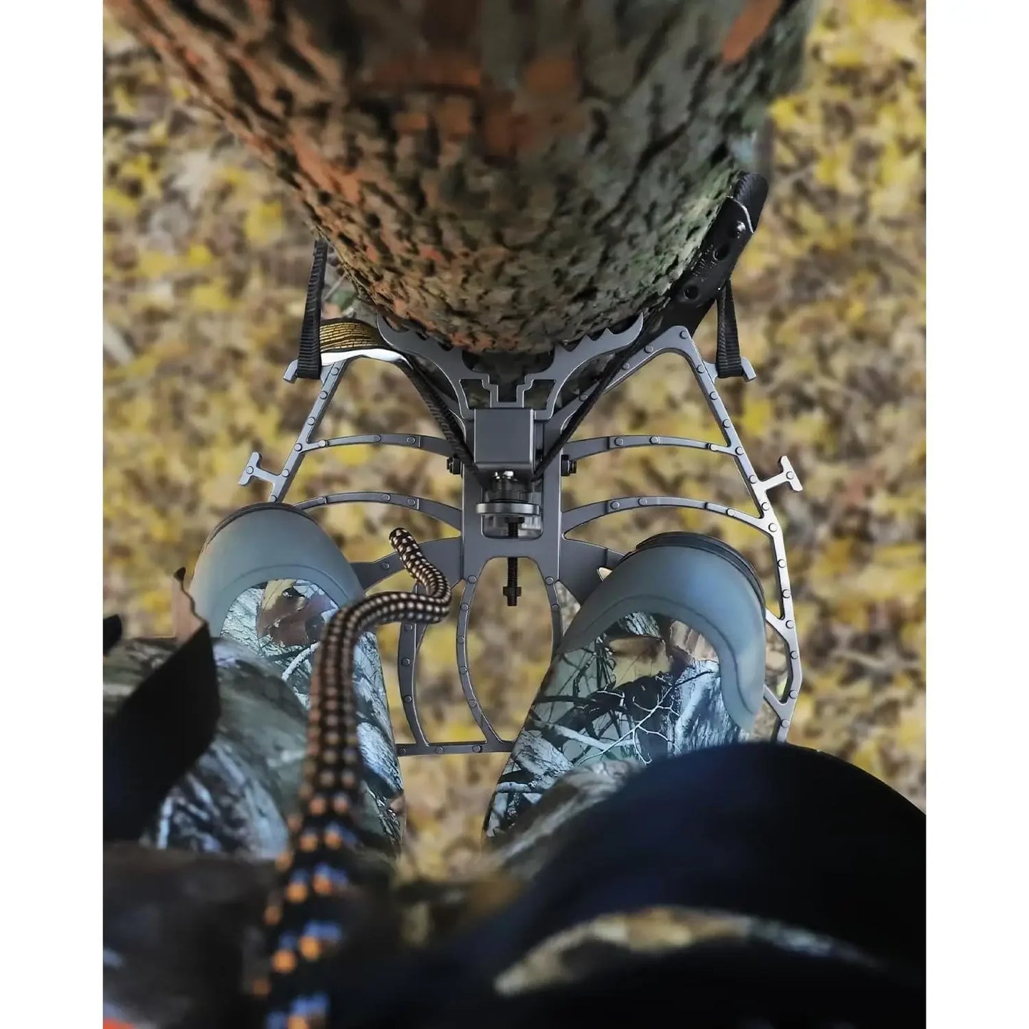 Complete Tree Saddle Hunting System, Platform, and Safety Harness