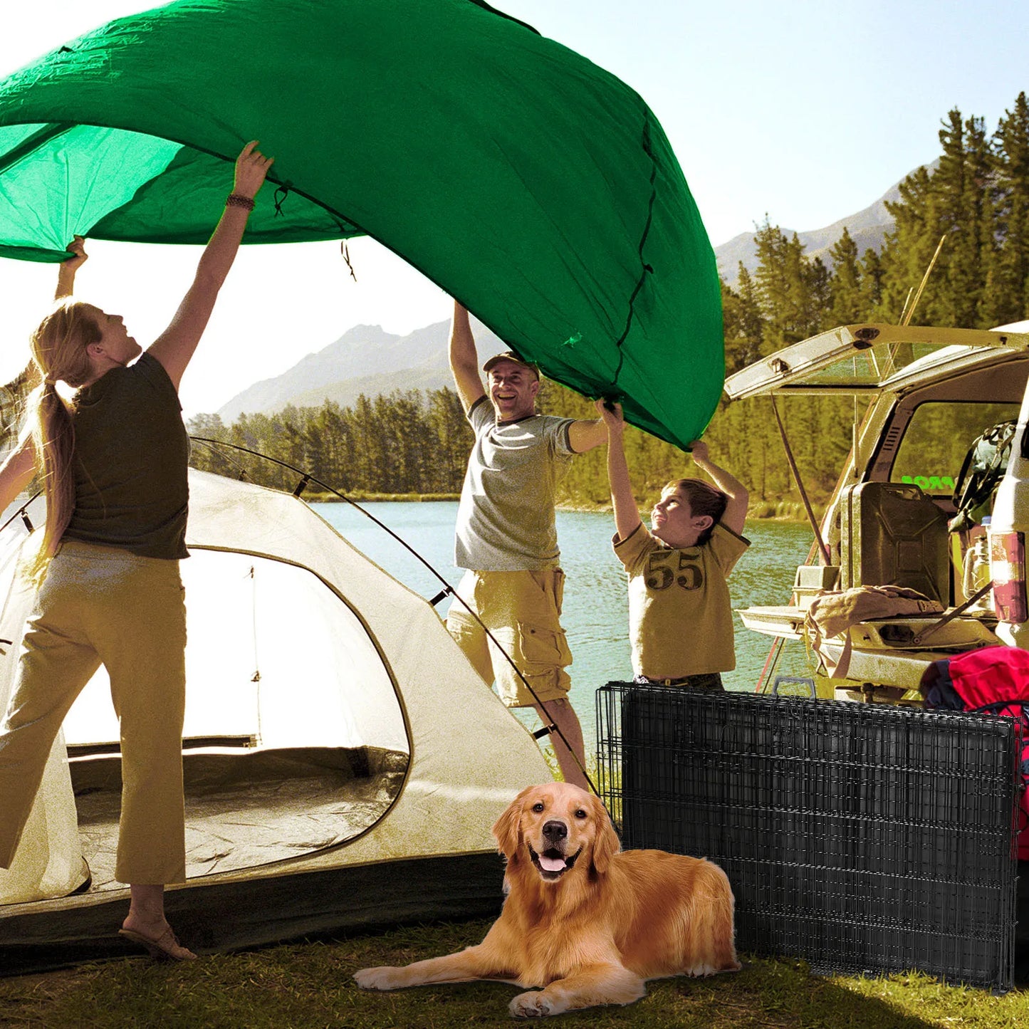 Double Door Folding Metal Wire Dog Cage with Plastic Leak-Proof Pan